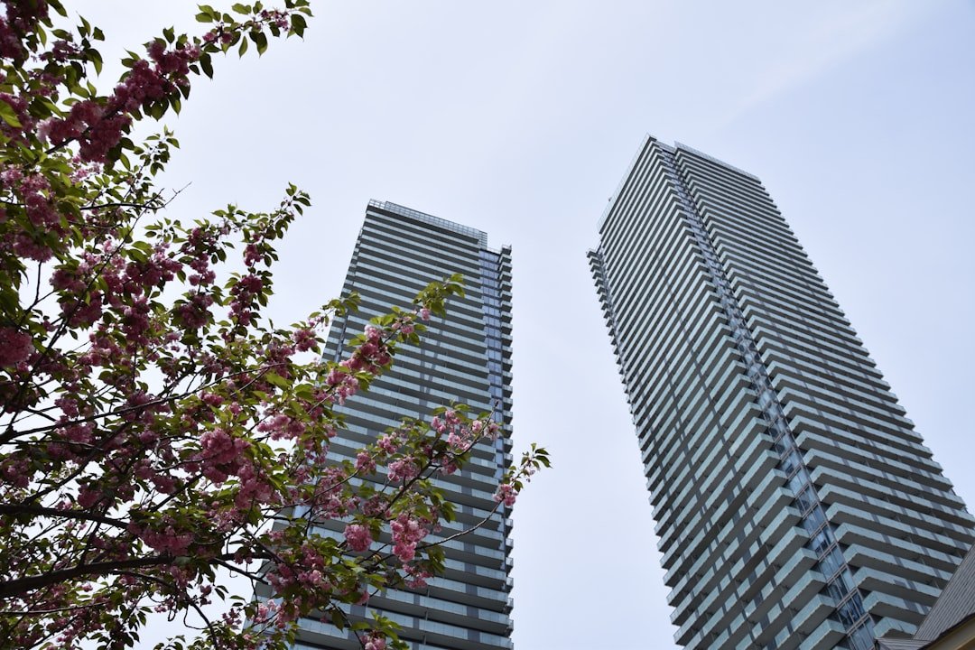 a-couple-of-tall-buildings-sitting-next-to-each-other-8jax5wbipeg